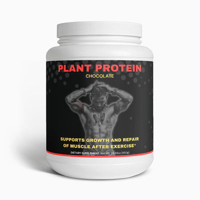 Plant Protein (Chocolate)