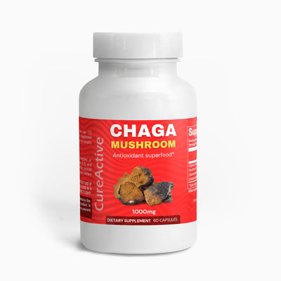 Chaga Mushroom