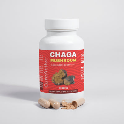 Chaga Mushroom