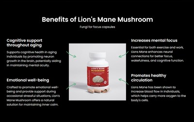 Lion's Mane Mushroom
